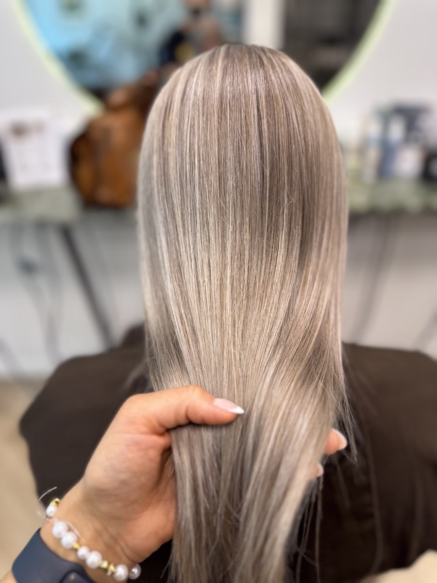 Balayage og blowdry Skive